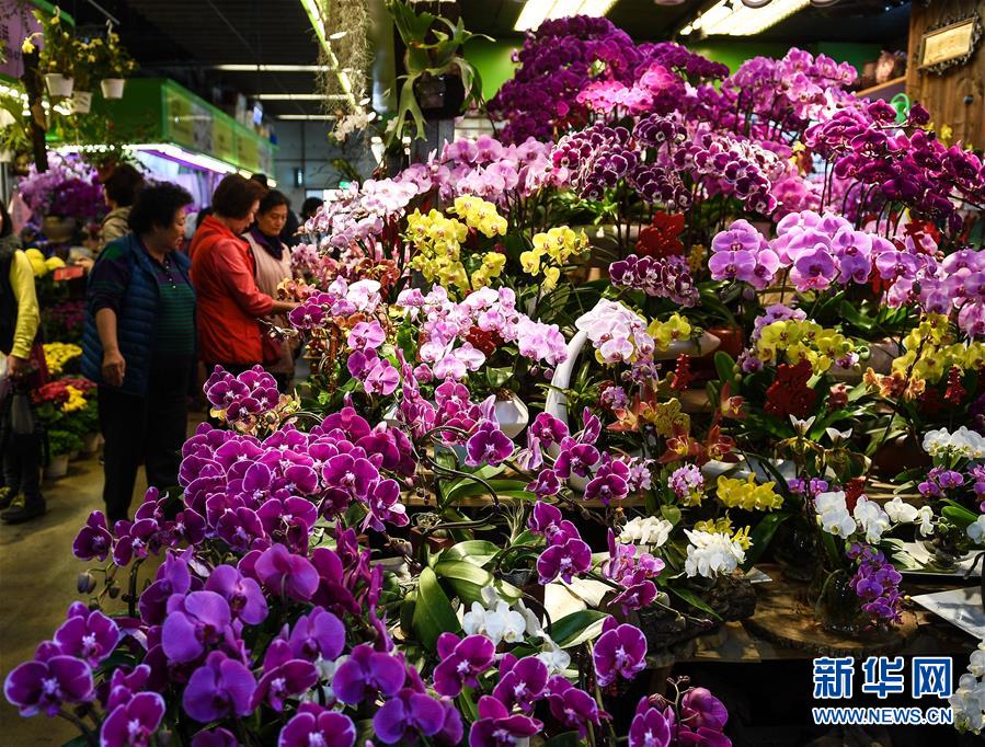 女足0再丢一，中国索单刀将破门过掉门球拉截图