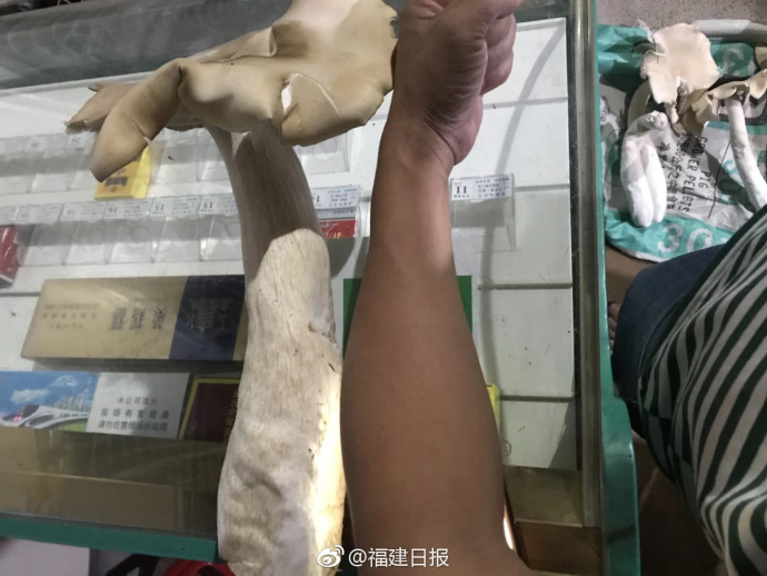 c罗足球比赛