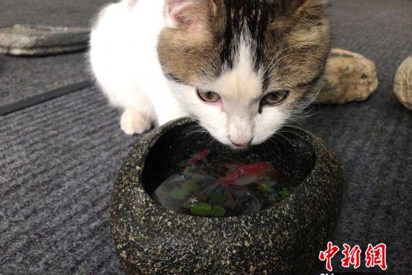 女足0再丢一，中国索单刀将破门过掉门球拉截图