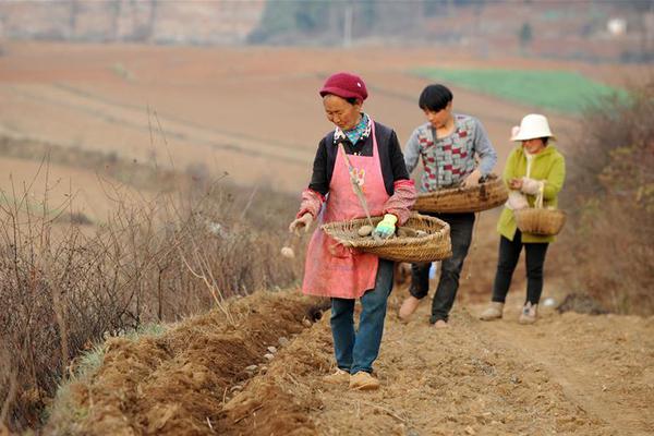 米雷蒂莫塔手多队有定权在租但决上意媒意租借，尤文考虑外截图